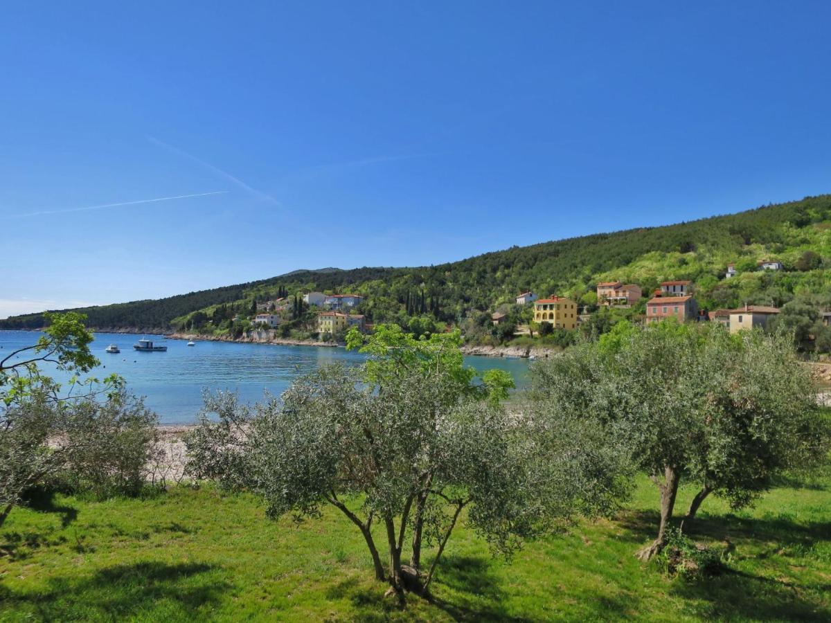Blazina - Lbn100 Apartament